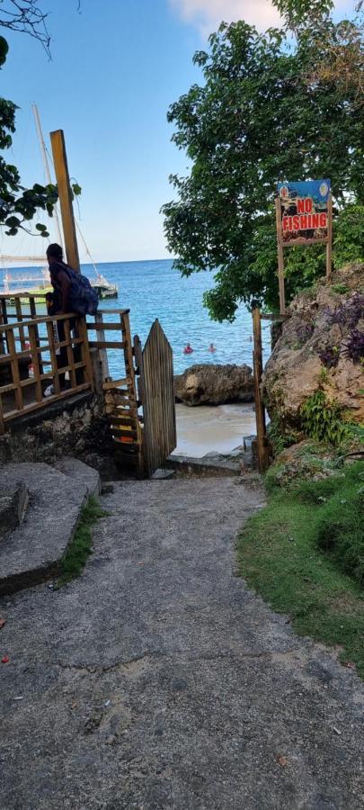 Komfort Getaway Villa At Countrymist Ocho Rios Exterior foto