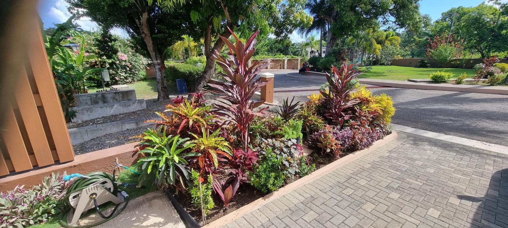 Komfort Getaway Villa At Countrymist Ocho Rios Exterior foto